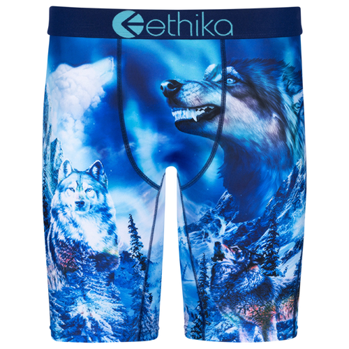 

Boys Ethika Ethika Blue Fangz Underwear - Boys' Grade School Blue/Blue Size M