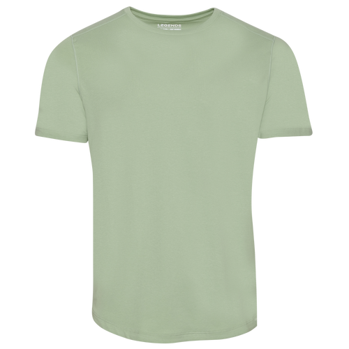 

Legends Curved Hem Aviation T-Shirt - Mens Dusty Sage/Dusty Sage Size S