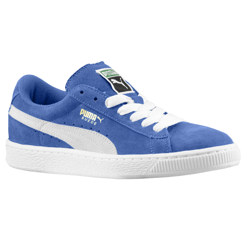 all blue pumas