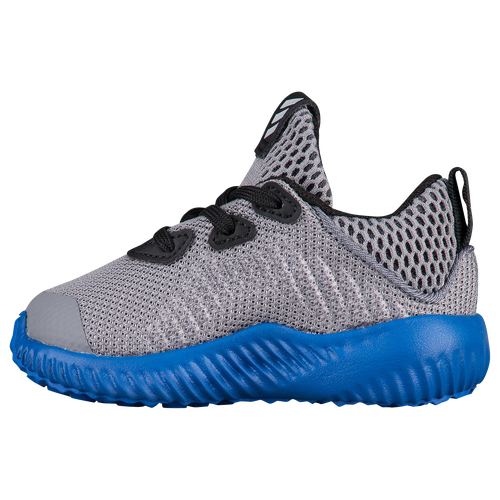 adidas Alphabounce - Boys' Toddler - Grey / Blue