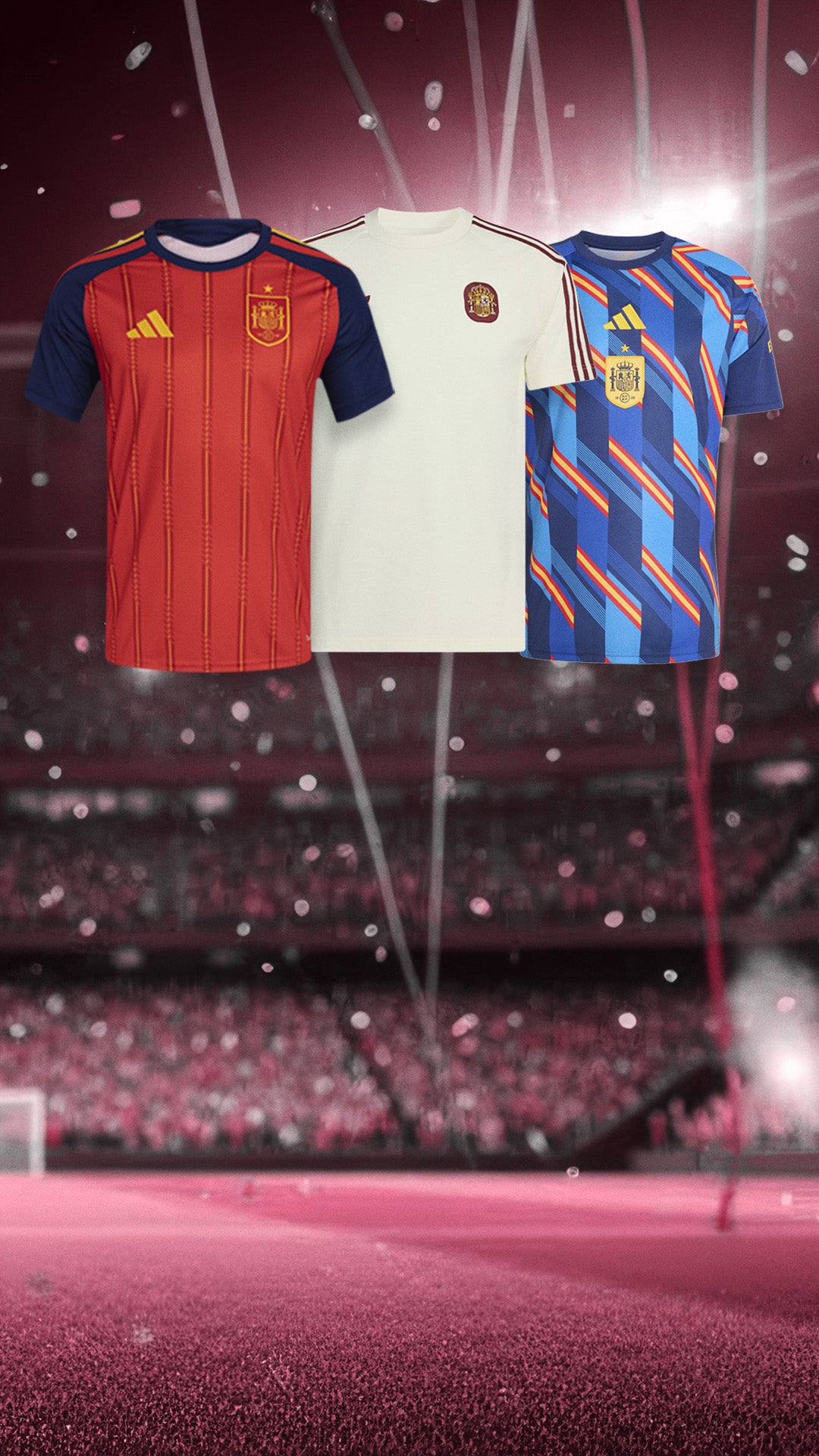 Spain World Cup Finals