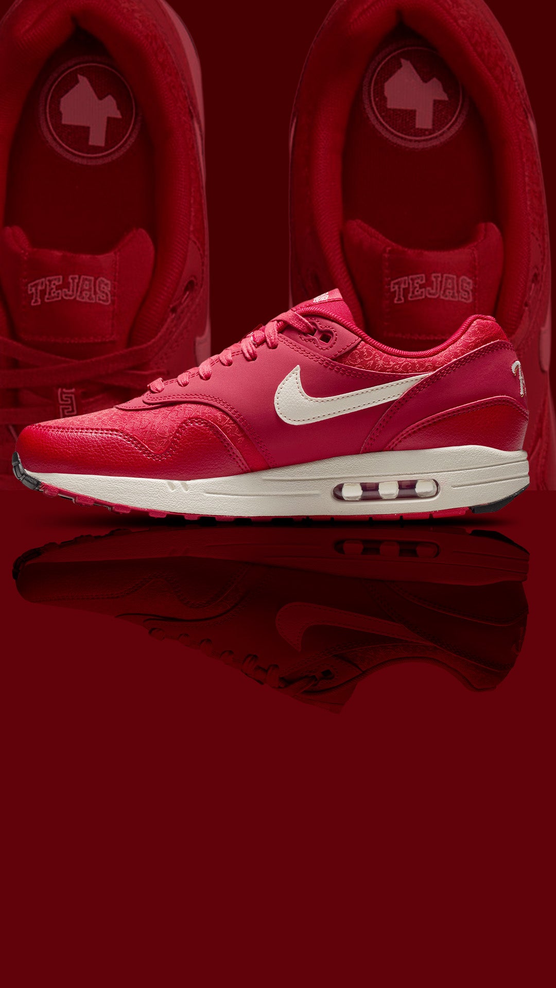 Nike Air Max 1 Texas Rangers