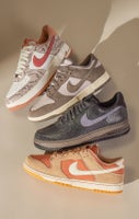SHOP DUNKS