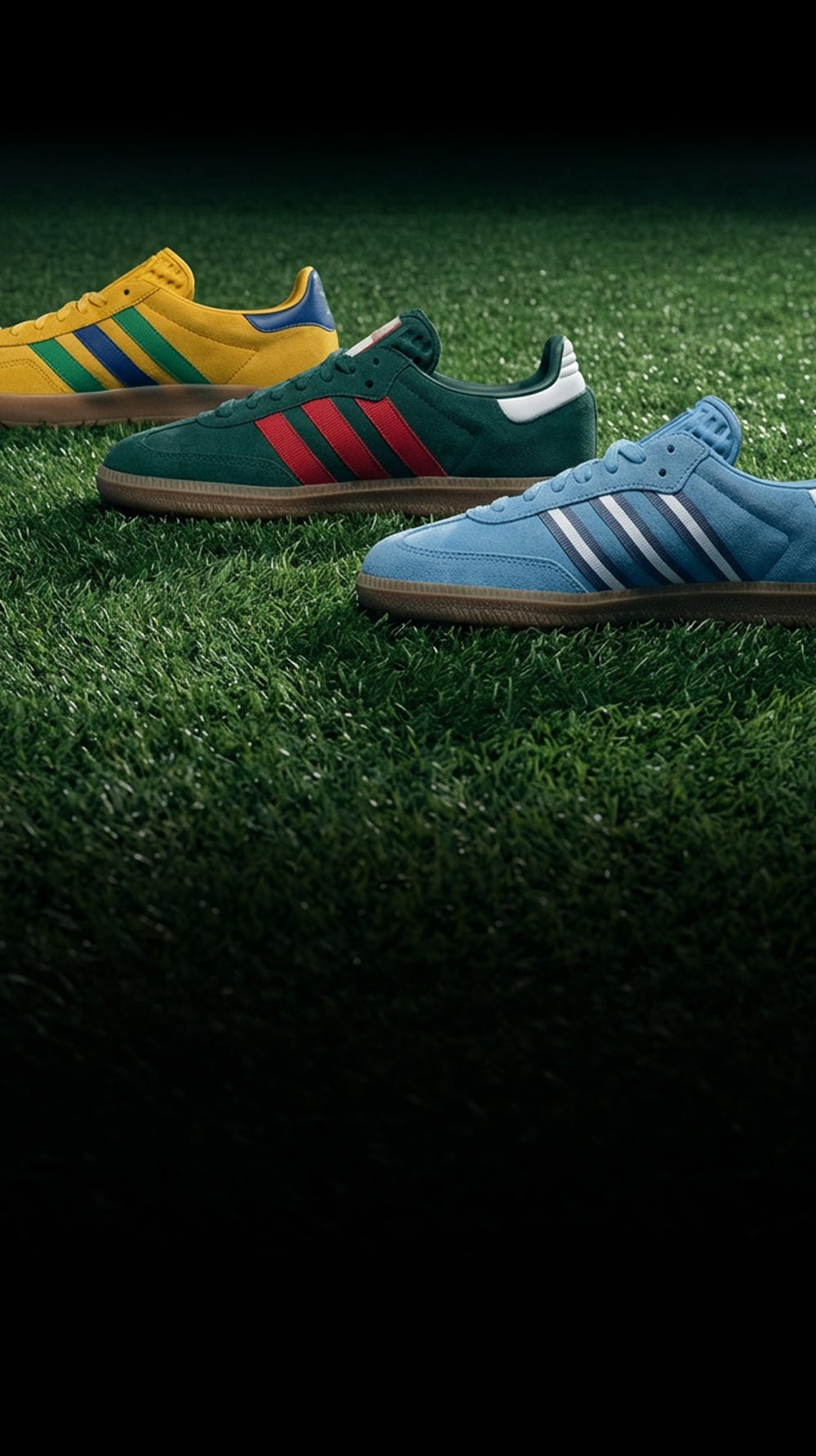 Rock The Global Vibe