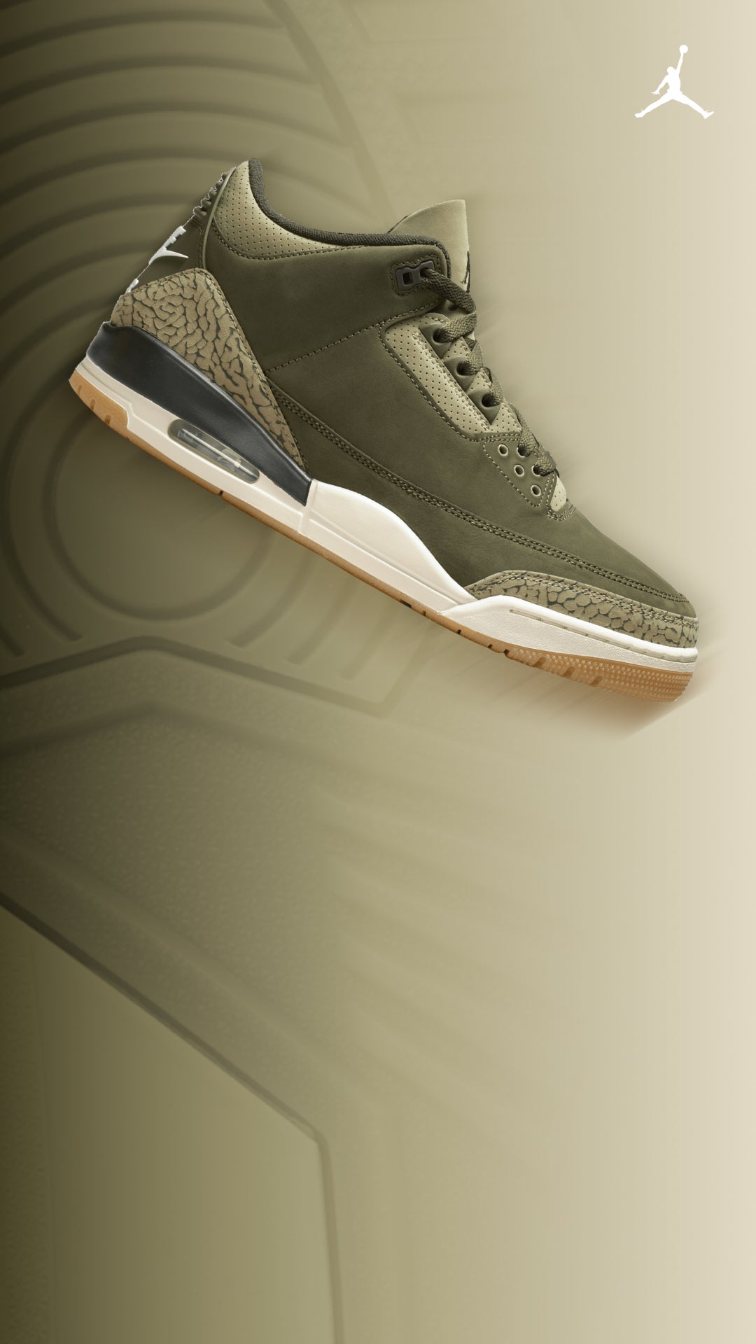 Jordan Retro 3 'Coldest in the Game'