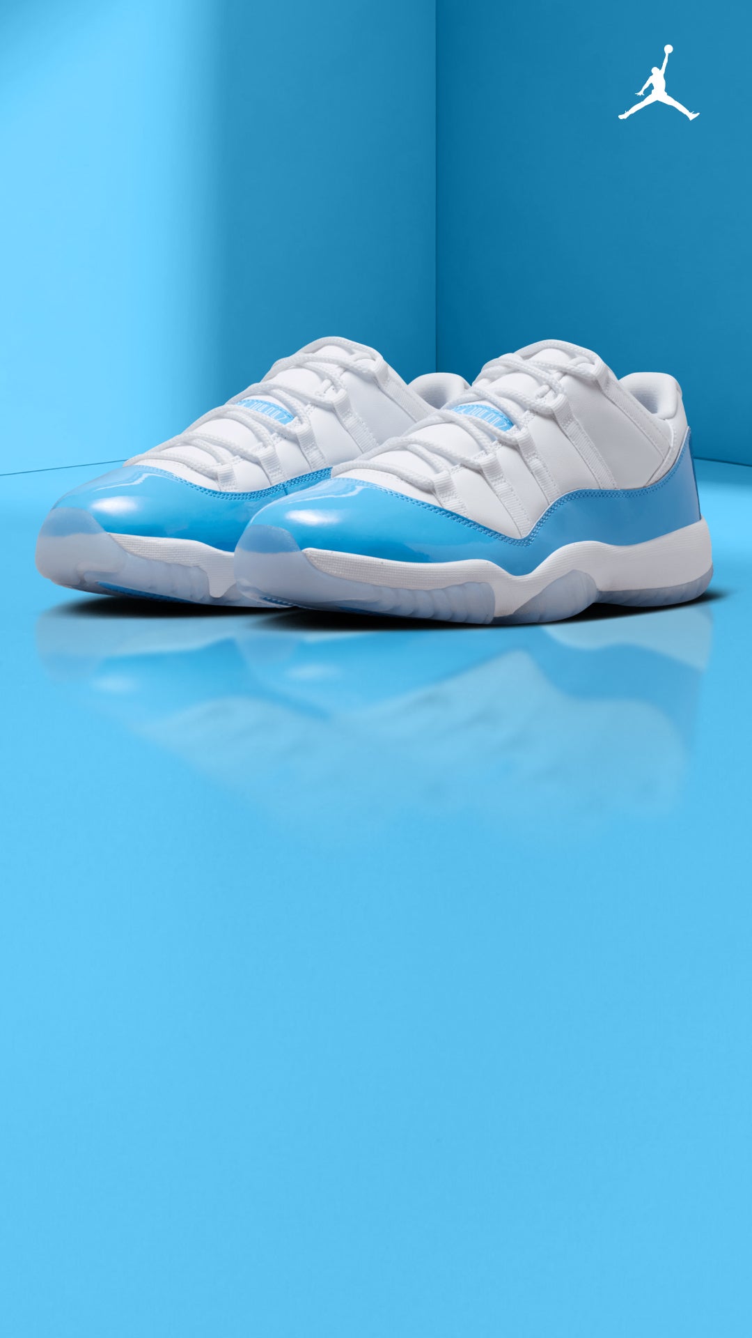 Jordan Retro 11 Low