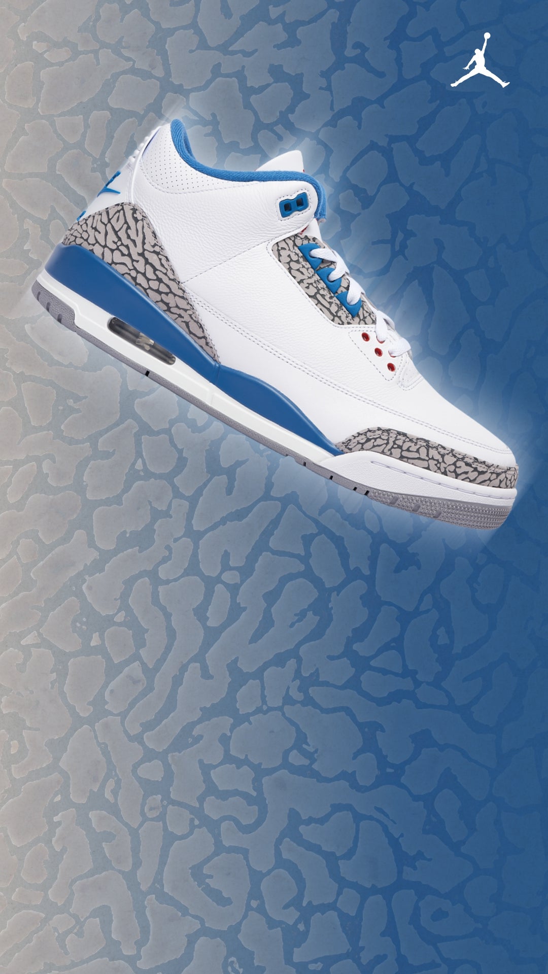 Jordan Retro 3 'True Blue'