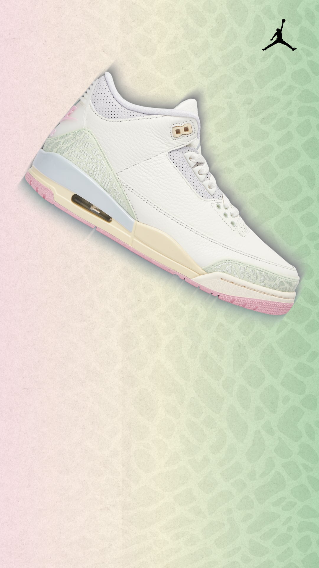 Jordan Retro 3 'Spring is in the Air'