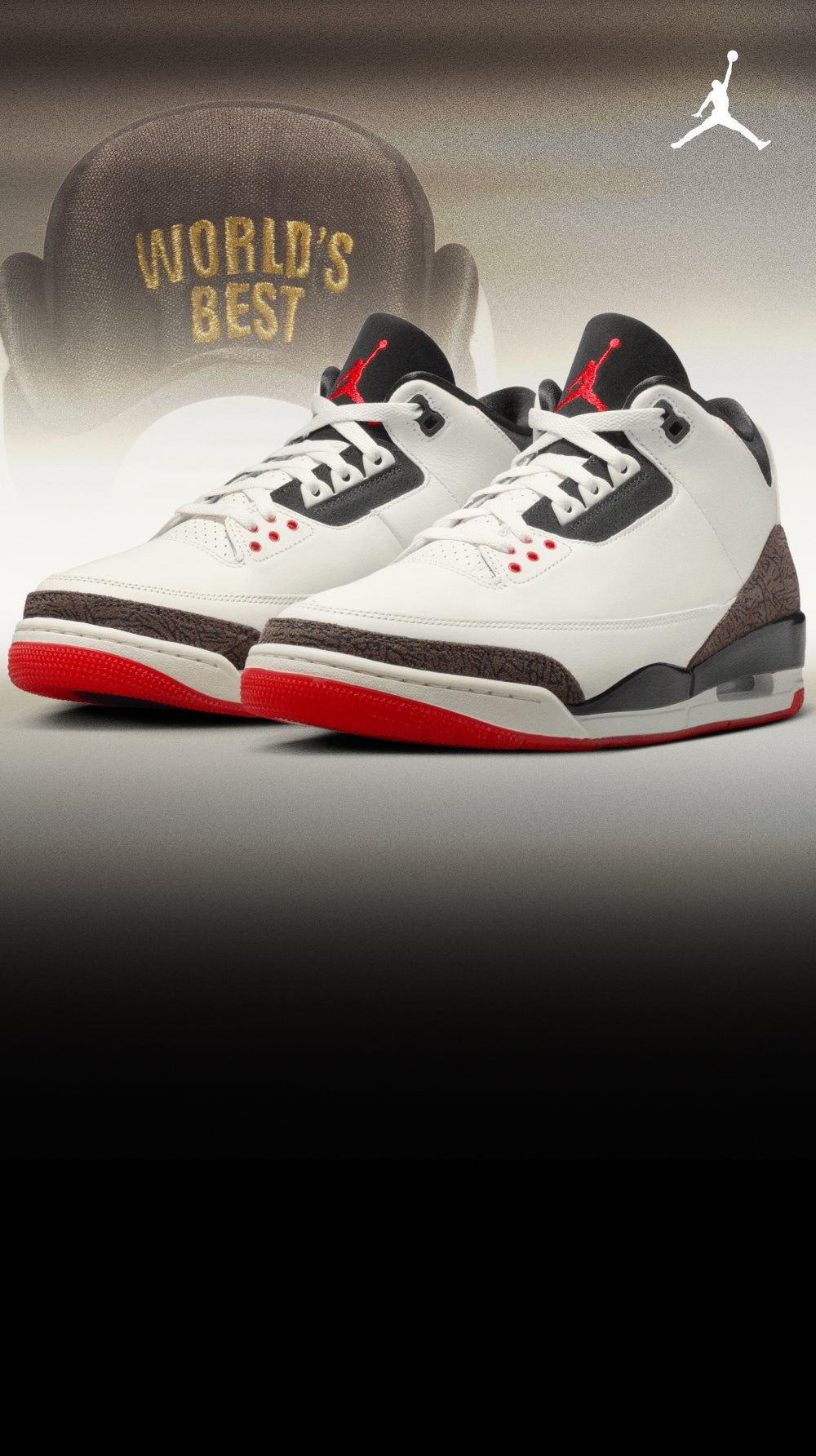 Jordan Retro 3 'World's Best'
