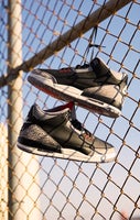 Jordan 3 