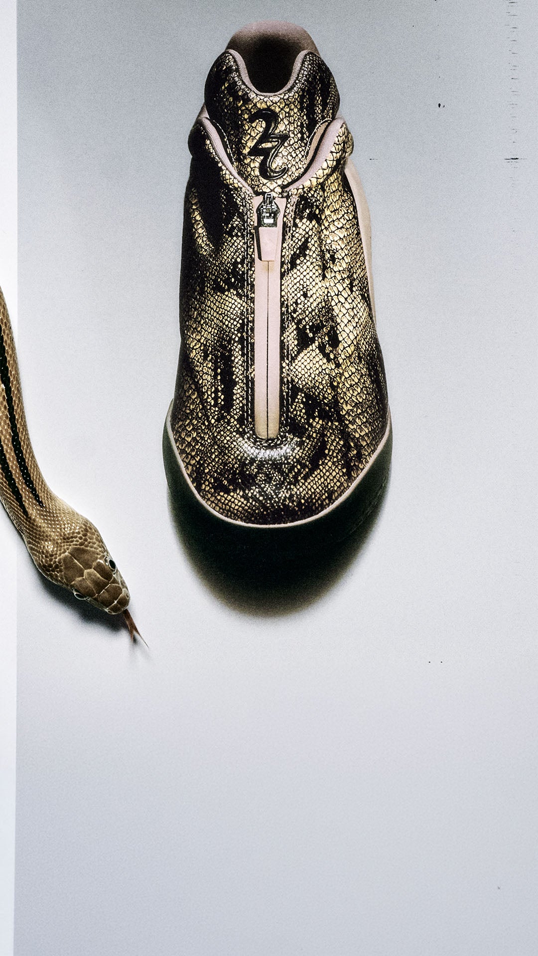 SNAKESKIN SHAI 001. A fearless snakeskin finish meets Converse innovation and game-ready performance. SHOP THE STYLE