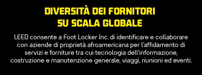 Global supplier diversity