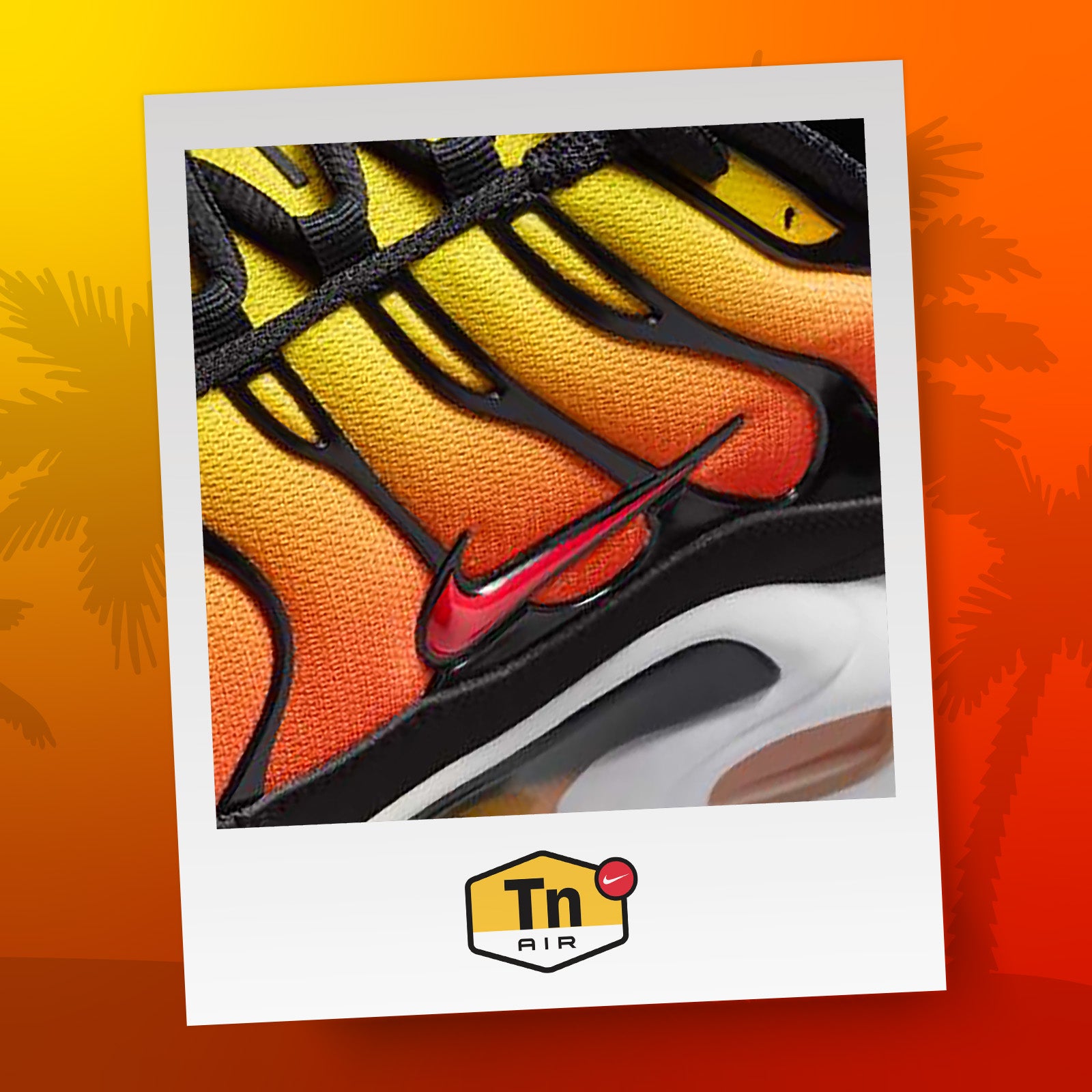 tn tiger footlocker