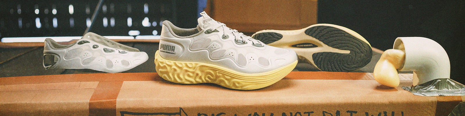 Puma