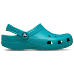 Turbo Teal