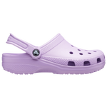 Purple/Purple