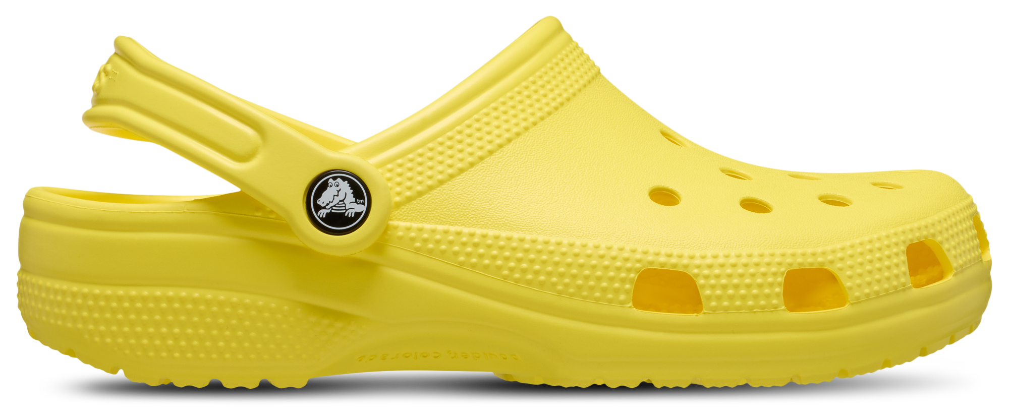 Crocs Classic Clogs - Men's | Champs Sports