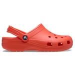 Starfish/Starfish