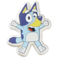 Youth - Crocs Jibbitz Bluey Single - Blue/Multi