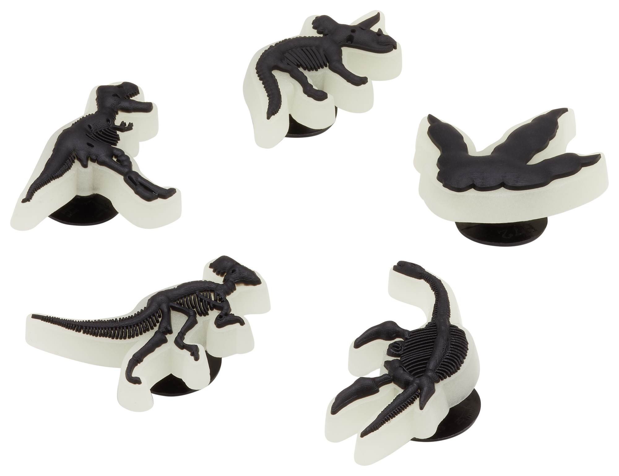 Crocs Glow in the Dark Dino Jibbitz 5 Pack Youth Hamilton Place