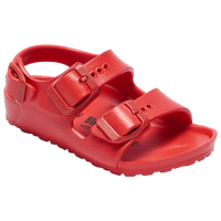 Red/Red