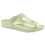 Faded Lime/Faded Lime