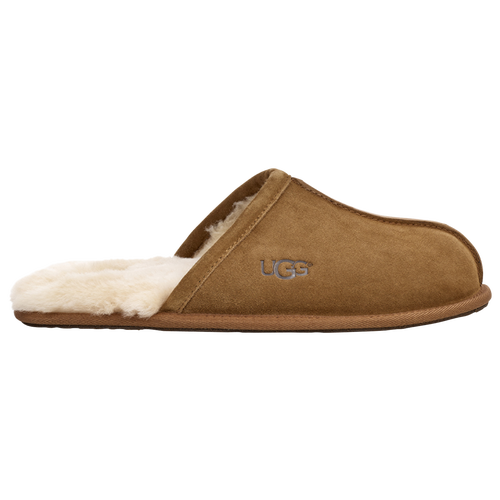 Shop Ugg Mens  Scuff Logo In Chestnut