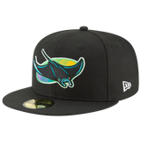 Black/Teal