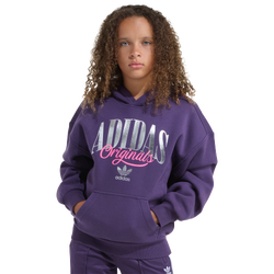 Girls' Grade School - adidas Fleece Logo Hoodie - Silver Foil/Aurora Plum