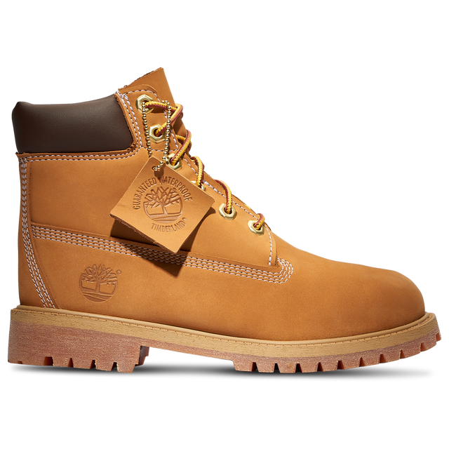 Timberland Waterproof 6" Boots