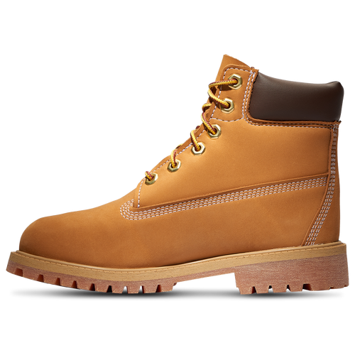 Timberland Waterproof 6" Boots