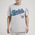 Pro Standard Hornets Script Tail SJ T-Shirt - Men's Grey/Grey