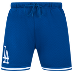 Blue/Multi