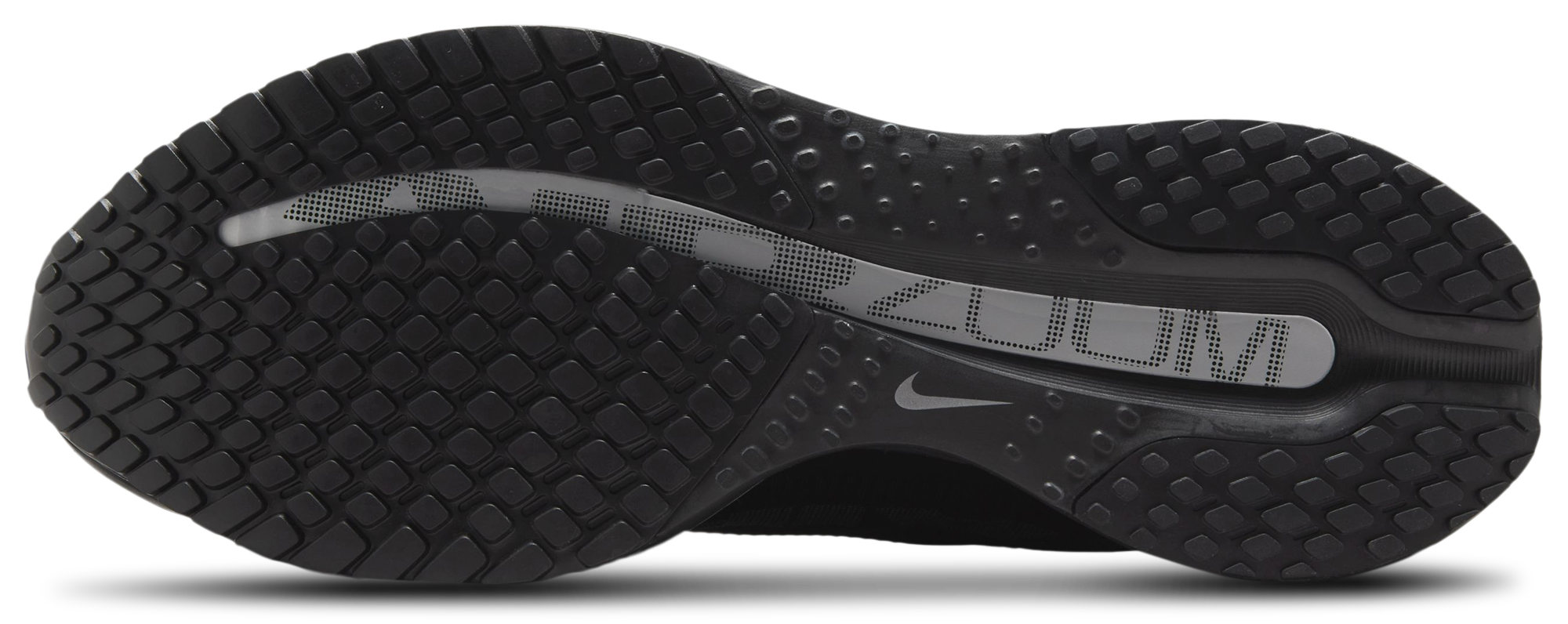 Nike Pegasus Premium