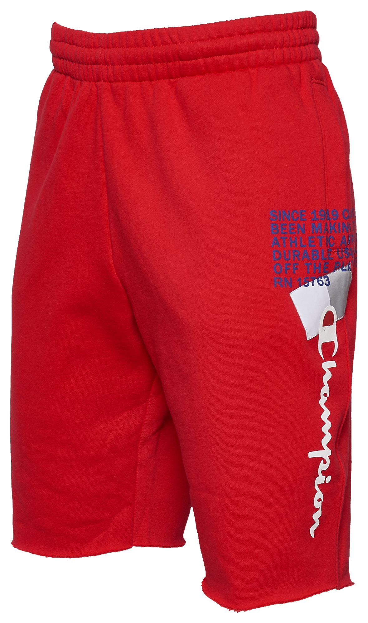 champion behind the label leggings
