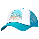 Teal/White