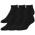 CSG 6 Pack No-Show Socks  - Men's Black/Black