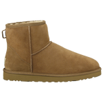 Chestnut/Brown