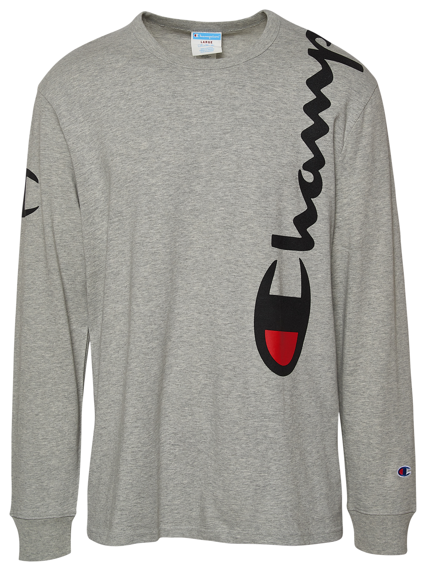 eastbay champion hoodie