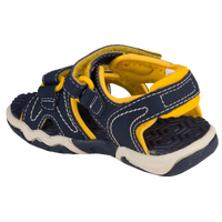 Navy/Yellow
