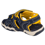 Navy/Yellow