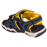 Navy/Yellow