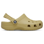 Wheat/Wheat