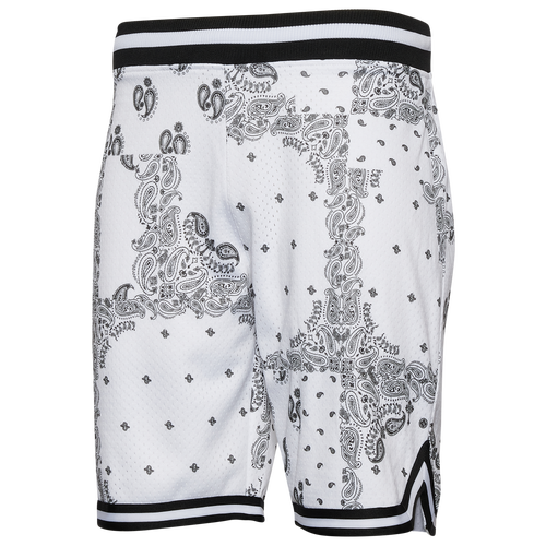 Csg store legend shorts