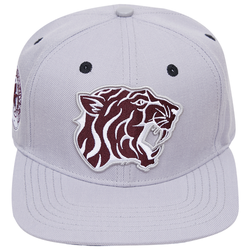 

Pro Standard Mens Pro Standard Texas Southern University Snapback - Mens Grey/Grey Size One Size
