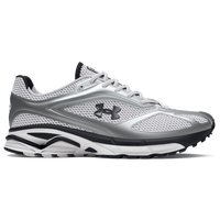 Silver/White
