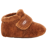 Chestnut/Brown