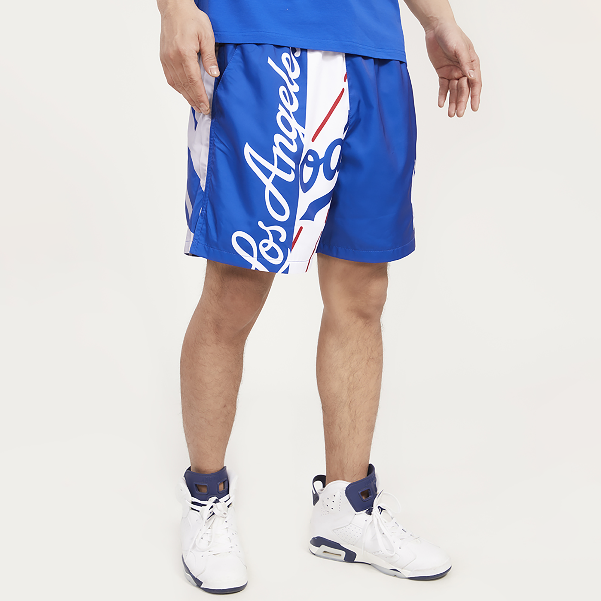 Champion shorts best sale mens footlocker