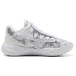 White/Gray Echo