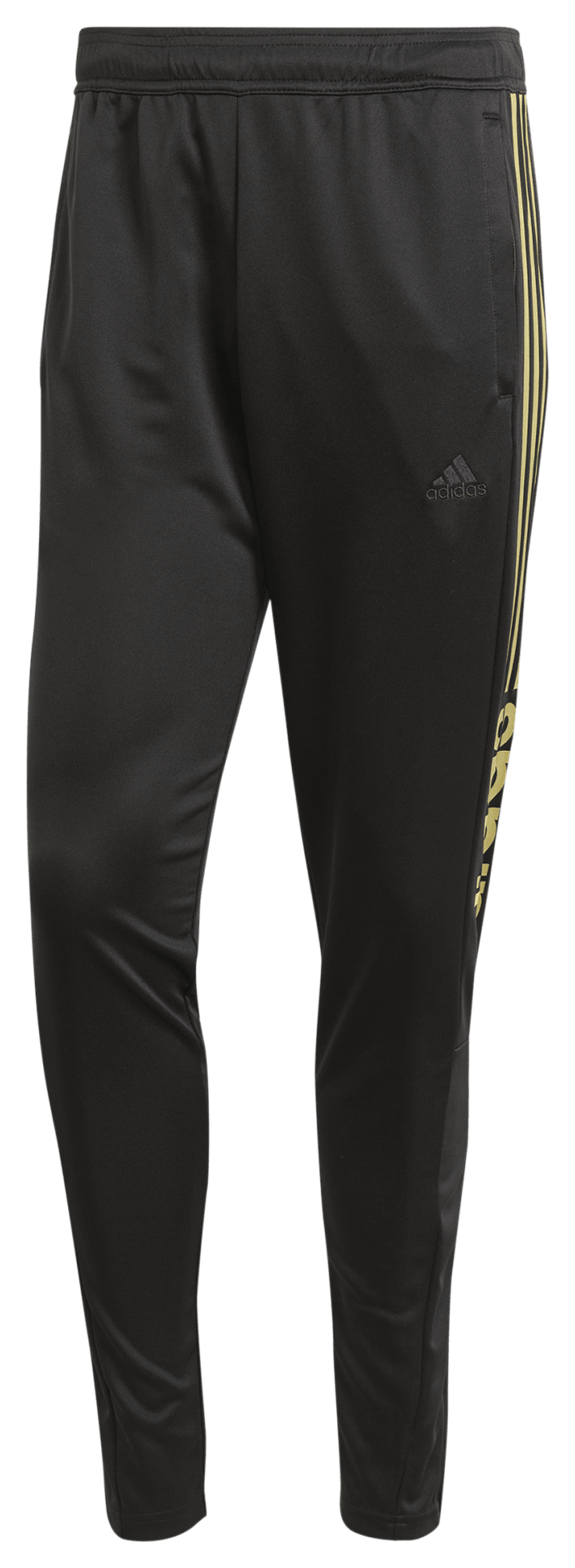 adidas Tiro 23 WM Pants